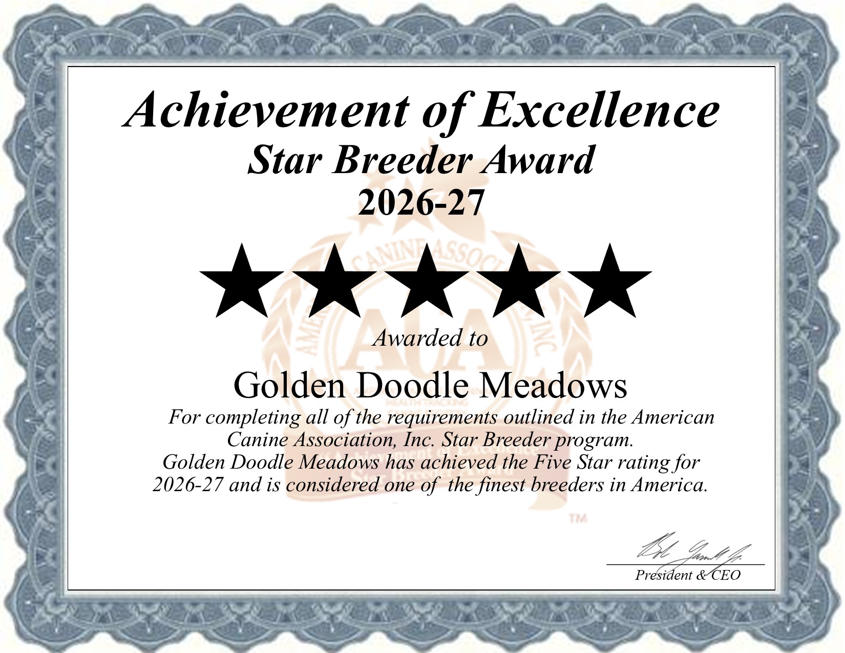 Golden Doodle, Meadows, dog, breeder, star, certificate, Golden Doodle-Meadows, Dundee, NY, New York, puppy, dog, kennels, mill, puppymill, usda, 5-star, aca, ica, registered, Goldendoodle